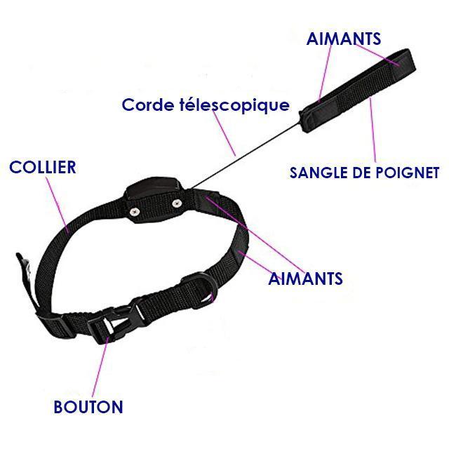 Gadgets d'Eve PETCOLLAR™ : Harnais rétractable et collier magnétique 2 en 1