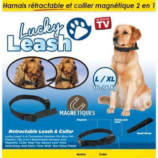 Gadgets d'Eve PETCOLLAR™ : Harnais rétractable et collier magnétique 2 en 1